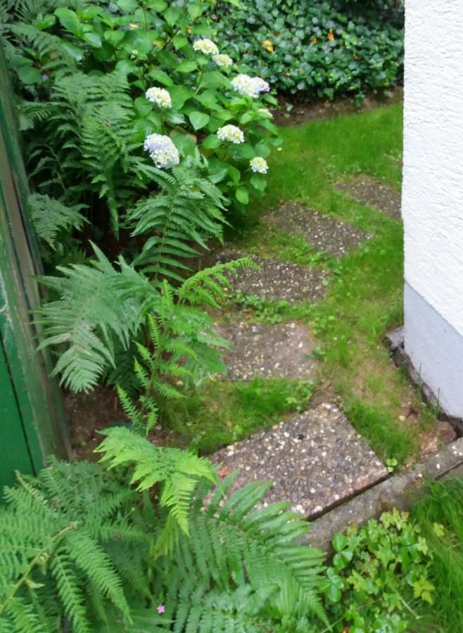 Ferienhaus Baederleiblick バート・エムス エクステリア 写真